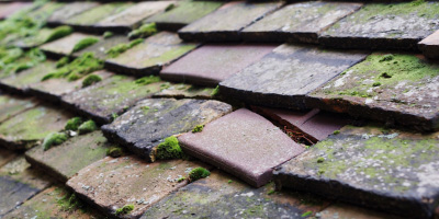 Long Meadow roof repair costs